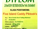 Diplom závody Chybie.jpg